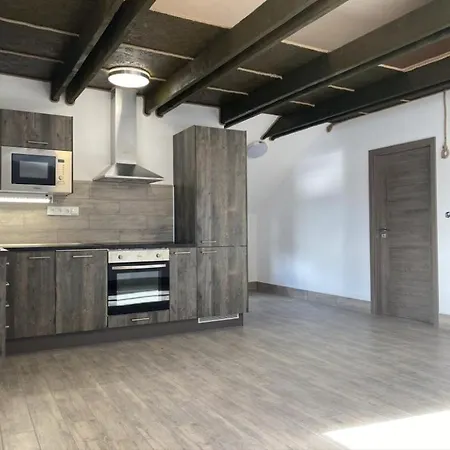U Dlouhana Apartment *