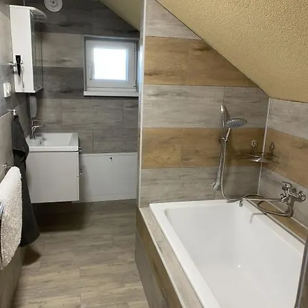 Apartment U Dlouhana Kadan